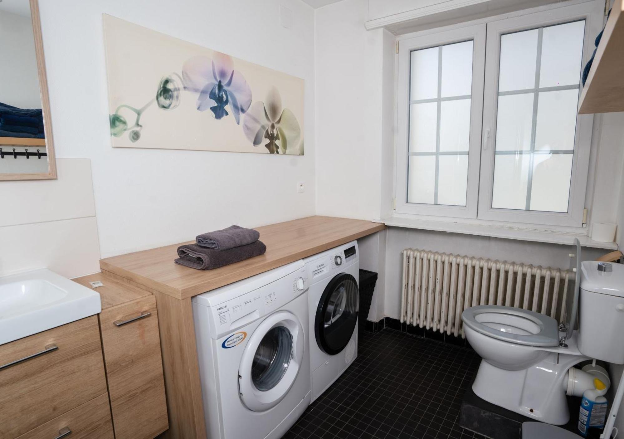 Charmant appartement avec terrasse dans villa Strasbourg Extérieur photo